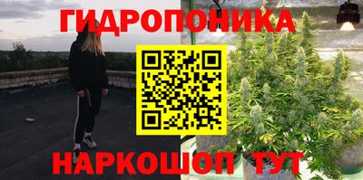 ГАЛЛЮЦИНОГЕННЫЕ ГРИБЫ Краснознаменск
