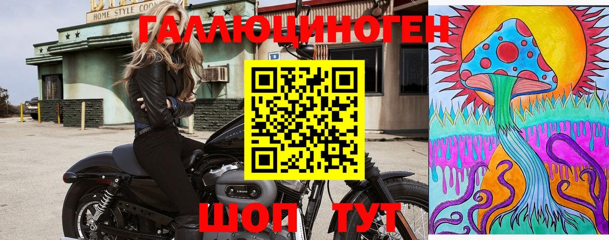 Псилоцибиновые грибы мухоморы  закладки  Галлюциногенные грибы прущие грибы  Карабулак  Вход с VPN 